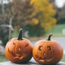 신평동1122 이미지