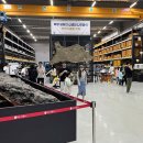 조선시대 군인 선발 등 직접 체험…&#39;어린이날&#39; 궁·박물관 행사 다채 이미지