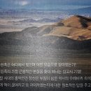 참조아 이미지