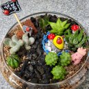 이든테라피 이미지