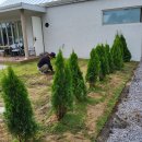 소서제주 7월2일 이미지