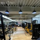 바디클래스 이미지