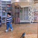 시민공원 동물약국 | 부산 서면 아이와 가볼 만한 곳, 앵무새 카페 리프패럿 시민공원점 동물교감 체험 후기