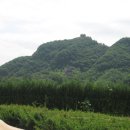 호산식당 Daum카페