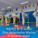 용성태권도장 이미지