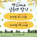 박스거제