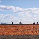 이미영 카카오 검색결과