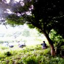 은지가든 이미지