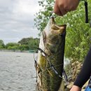 영인 낚시터 이미지