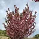 이목안포로 이미지