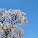 소풍길들꽃산책(강좌번호 4) | 경주 가볼만한곳 국립경주박물관 첨성대 역사덕후 여행코스