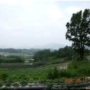 방아다리 주유소 이미지