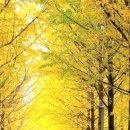 풀잎농장 이미지