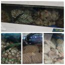 부안21세기병원 | 광명 무한리필 조개폭식 광명사거리점