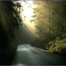 아침의 향기 이미지