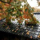 청도감마을 이미지