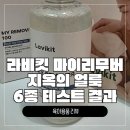 디자인이스마인 | 투어스 얼룩제거제로 유명한 라비킷 마이리무버, 진짜 되는지 직접 실험해봤어요
