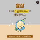 G2575 네이버블로그
