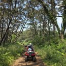 와이키키펜션 | 안면도atv 태안atv &#39;와이키키레포츠&#39;