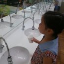 부산진초등학교 이미지