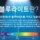 봄봄안경