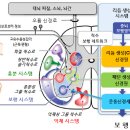 큰솔2병원 이미지