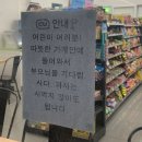 애기동백꽃 만개한 제주, 정읍서 100년에 한 번 피는 ‘아가베 아테누아타 꽃‘ 개화 外 - 오늘의 포토소식 이미지