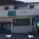 신북농협사북지점 네이버블로그