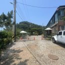 서해 갯벌체험 장봉도 1박2일 다녀온 내돈내산 후기(블루힐펜션, 갈매기 새우깡주기, 0415 카페)