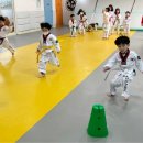 품다태권도장 이미지