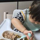오아시스마켓 유아식 추천템 식단 반찬 후기