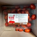 올웨이즈 올팜 친구초대 올팜 맞팜친구 올웨이즈 친구초대 올팜 토마토 수확 후기