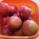 천석농장 이미지