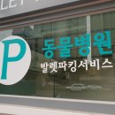죽전동물메디컬센터 네이버블로그