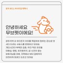 무브펫 이미지