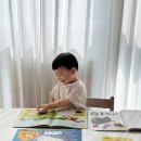 과학이야기3 | 유아과학전집 꿈틀이첫과학 3세 입문 후기