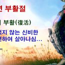 왜 예수 부활이 내 부활인가?(고전15:20, 요15:4-5) - 부활절 설교 이미지