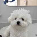 몽메이트