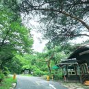 국립운문산자연휴양림야영장 이미지