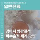 창현동물병원 네이버블로그