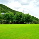 울산수목원 Daum카페