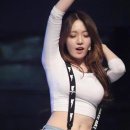 밤비노