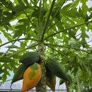 선견지 견학 다녀왔어요 이미지