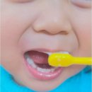 아기 치약 불소 함유량과 쿤달 키즈 전용 치약 후기