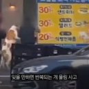 개한테 물렸을 때 어떻게 대처해야 하는가. ? 이미지