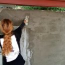 수원-0479 이미지