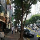 옥류관 칡냉면 이미지