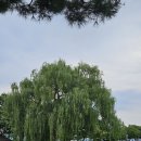 중앙탑펜션 | [원주/충주여행]친구랑 2박3일 Day3(서유숙펜션 조식, 충주 중앙탑공원, 카페 메모리아 )