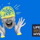 CW-2100-01 이미지