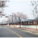 센텀스타부동산공인중개사사무소 이미지